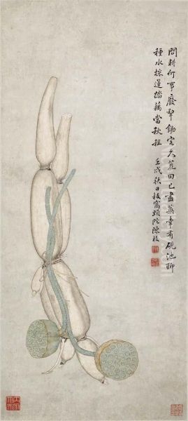 Lotus Root - view 1