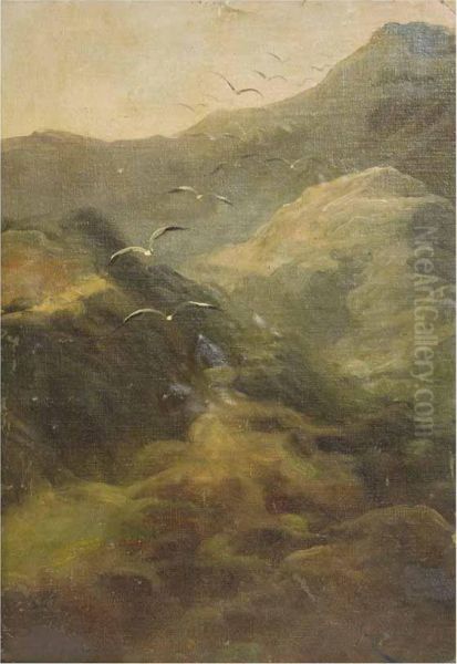 Paisaje - view 1