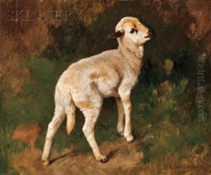 The Little Lamb