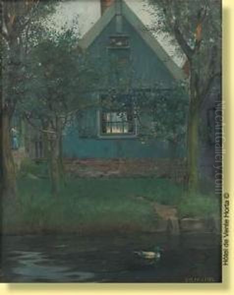 Canard Sur Un Cours D'eau - view 1