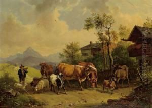 Heimkehr Von Der Weide