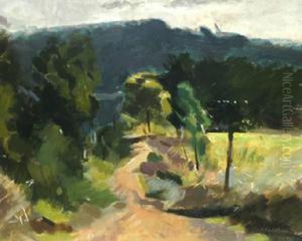 Mount Dandenong Olinda Victoria - view 1