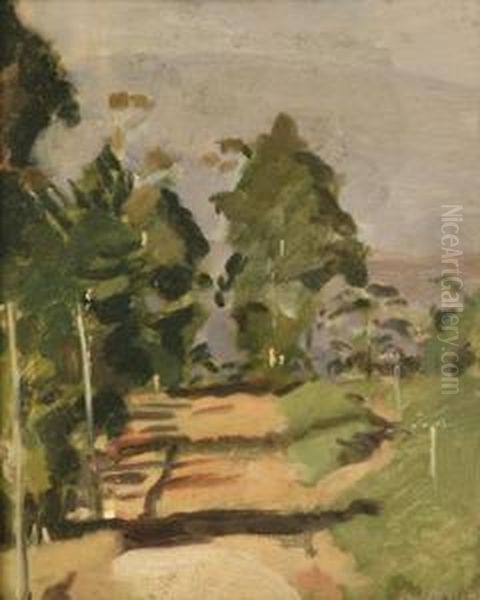 Olinda Falls Road - view 1