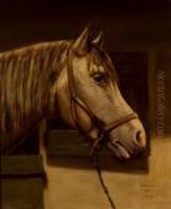 Cabeza De Caballo Cabeza De Caballo
