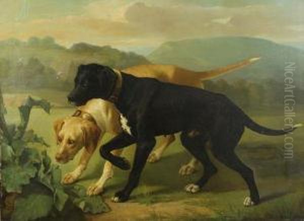 Chiens A L'affut - view 1
