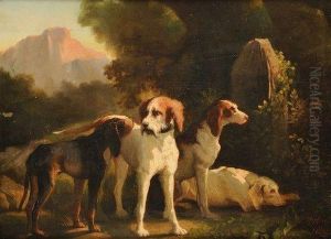 Chiens De Chasse Au Repos by Joseph Urbain Melin