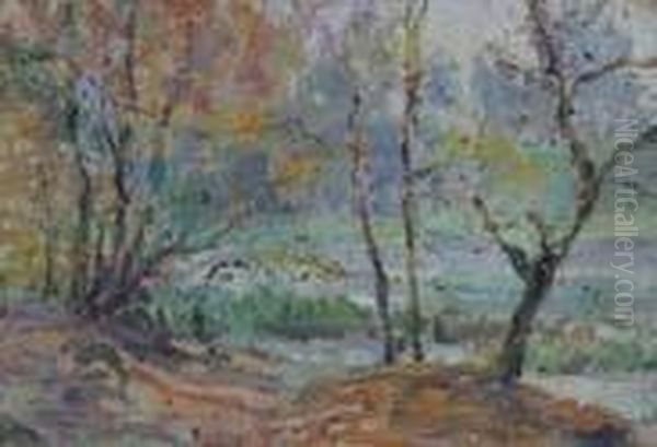 Boscaglia - view 1