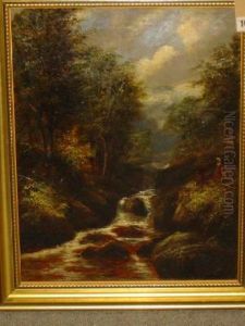 The Barbadge Brook
