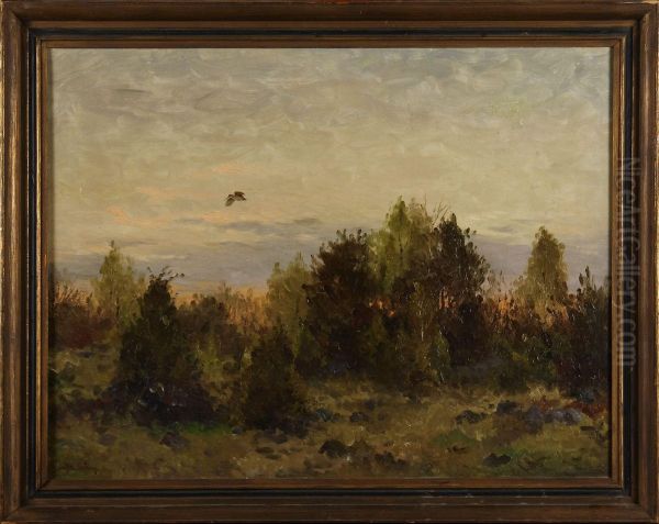 Morkulla - view 1