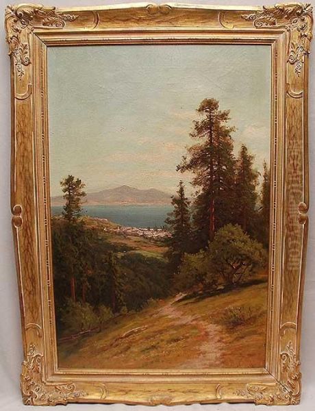 Wooded Path - view 1
