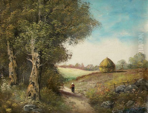 Paysage - view 1