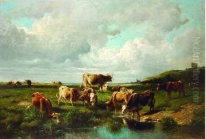 Vaches S'abreuvant