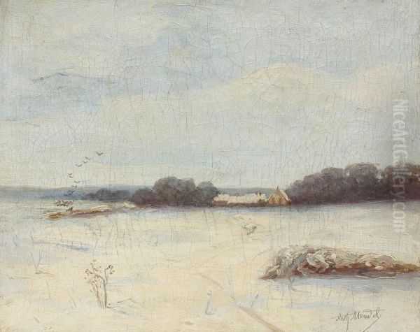Peisaj De Iarna - view 1