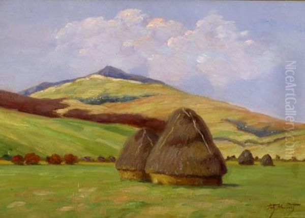 Landscape - view 1