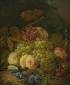 Stillleben Mit Weintrauben,
Pflaumen,pfirsichen, Walnussen Und Brombeeren. by Franz Mendel