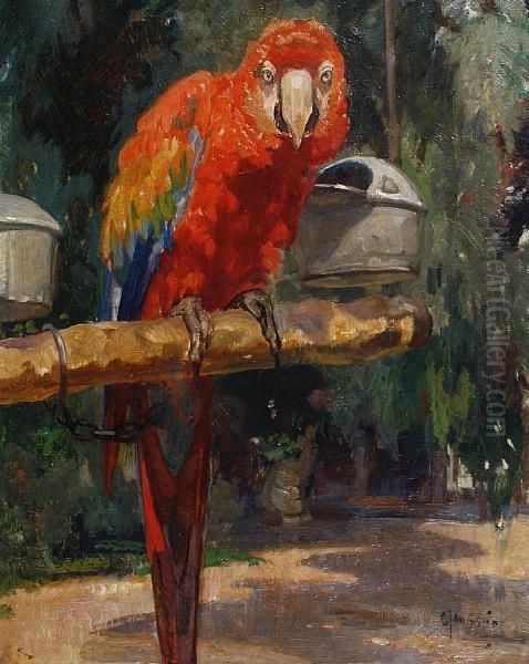 Parrot - view 1