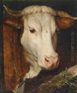 Cow by Julie Menzel