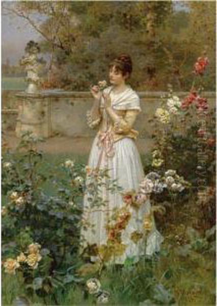 The Rose Of All Roses - view 1