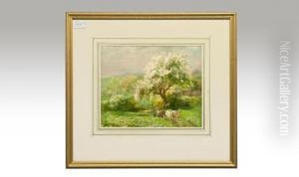 Cattle Drover Stopped After A Tree In Blossom - view 1
