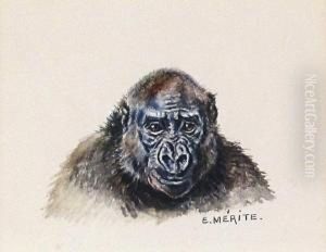 Legorille. by Edouard Merite