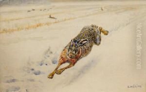 Lievre Dansla Neige by Edouard Paul Merite