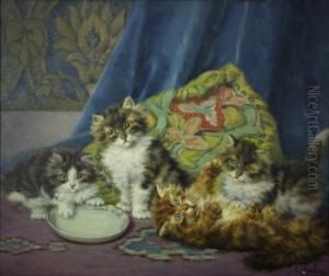 Kittens