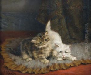 Zwei Neugierige Katzchen