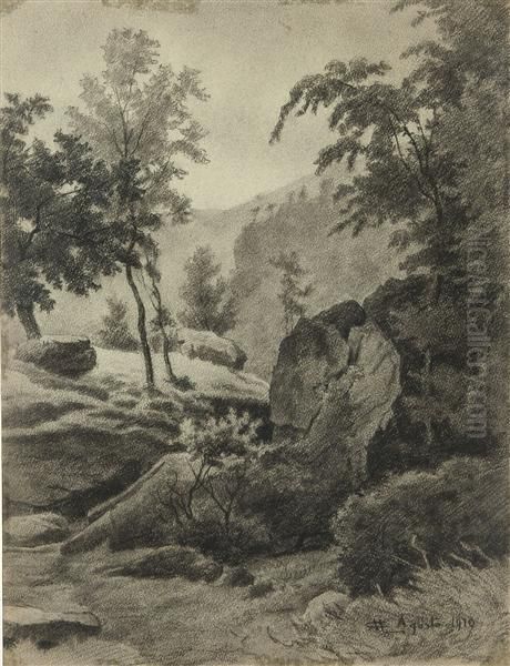 Sottobosco - view 1