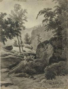 Sottobosco by Camillo Merlo