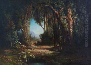 Promeneursdans La Foret Des Comores
