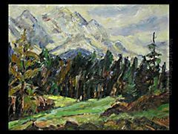 Alpenlandschaft - view 1
