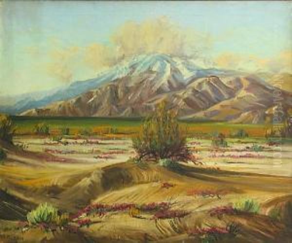 Desert In Bloom With Mountains In The Distance - view 1