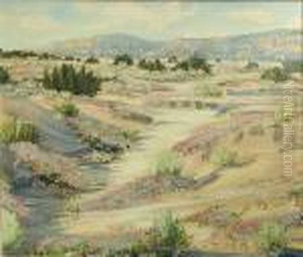 Desert In Bloom - view 1