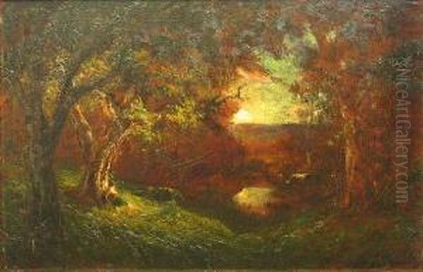 Wooded Landscape At Sunset - view 1