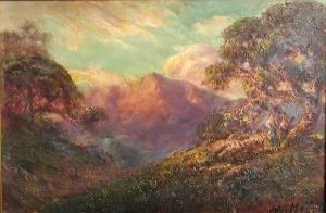 Oak Trees With Mountains In The Distance