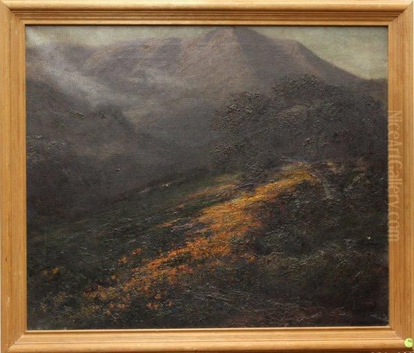 Poppies Along The Hillside - view 1