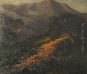 Poppies On A Hillside With Mount Tamalpaisbeyond by Jules Mersfelder
