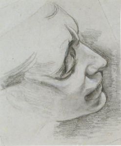 Tete De Femme De Profil