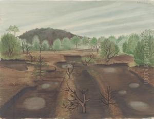 Niedersachsische Moorlandschaft - view 1
