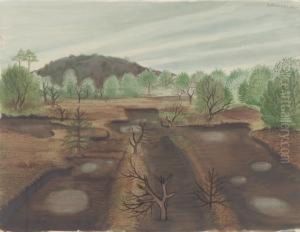 Niedersachsische Moorlandschaft by Hans Mertens