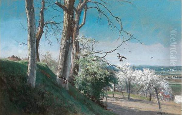 Paysage De Printemps - view 1