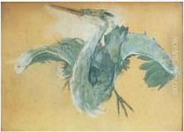 Heron Cendre - view 1
