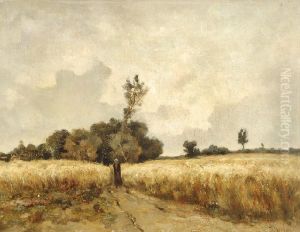 Wheatfields In Drenthe