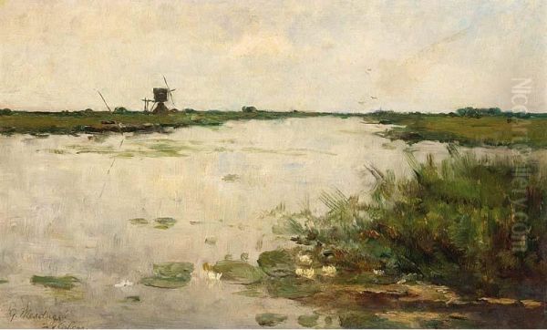 Plas Bij Kortenhoef - view 1