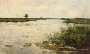 Plas Bij Kortenhoef Plas Bij Kortenhoef