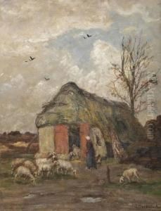 A Sheepfold thumbnail