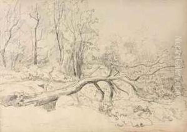 One Sketchbook With Fifty Studies Of Dune Landscapes, Woods Andtrees Around The Hague - view 1
