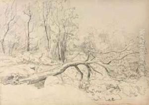 One Sketchbook With Fifty Studies Of Dune Landscapes, Woods Andtrees Around The Hague by Sientje Mesdag Van Houten