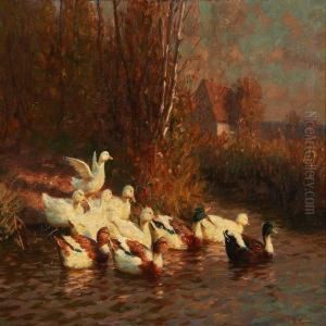 Ducks At A Lake