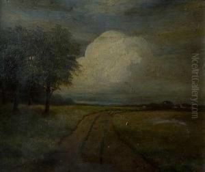 Ovejas En El Camino by Kalaman Mesterhazy